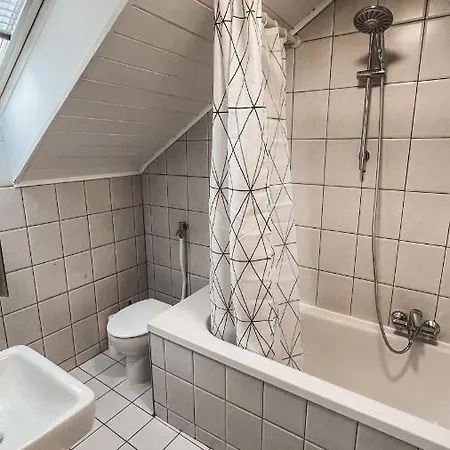 Mulinhouse Apartment *